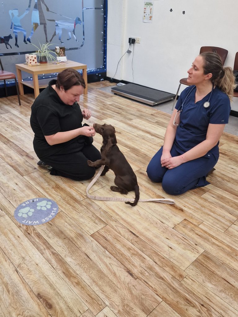 20221219 150251 768x1024