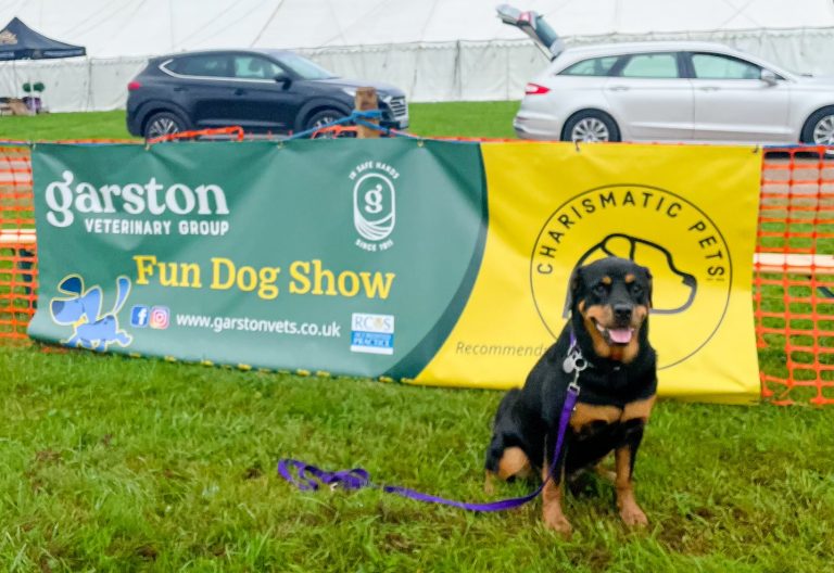 40076754 607D 4A89 9D1E A866FF507C67 768x528