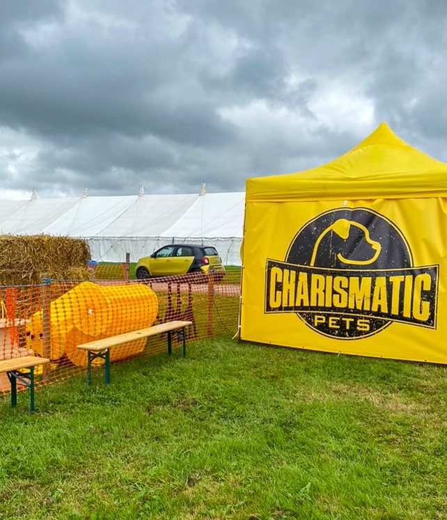 74E31107 0AC0 41CD 9596 2FB20C2B896A