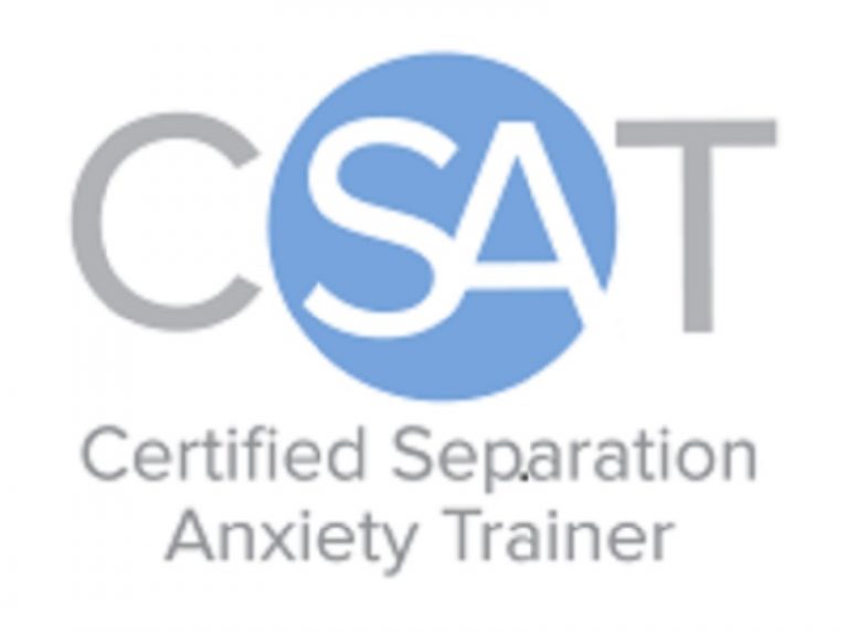 CSAT Seal 768x573