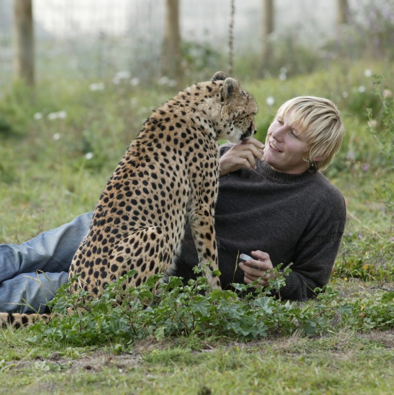 Cheetha54 cr 1 768x769