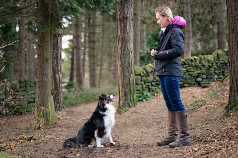 DSC05249 Edit copy 768x512