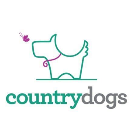 FB IMG 1596052798254