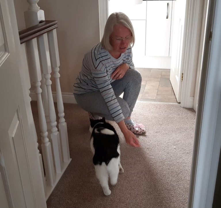 Greeting Mont 2 768x724