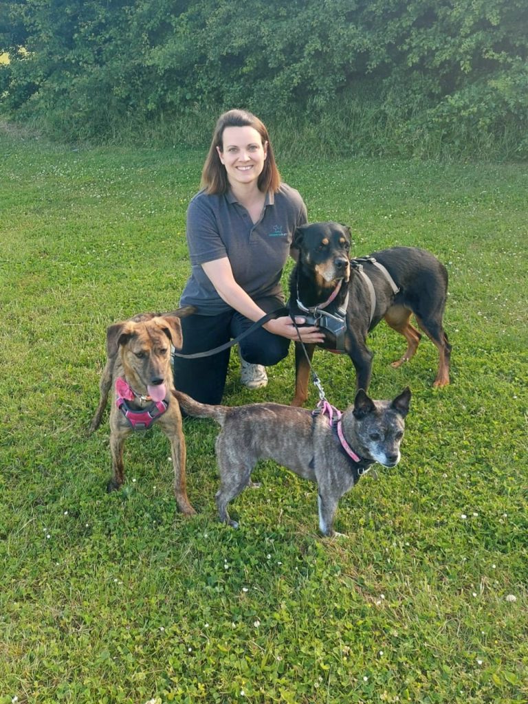 IMG 20220601 WA0004 768x1024