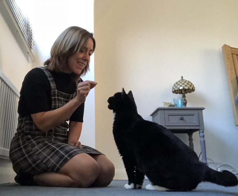 Karen Button cat training 1 768x635