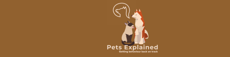 May 22 Linkedin Banner 768x192