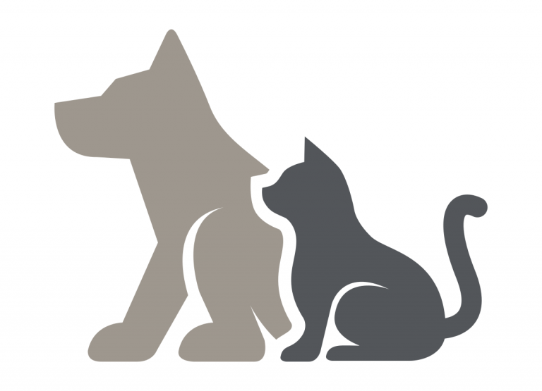 base icon white background 768x555