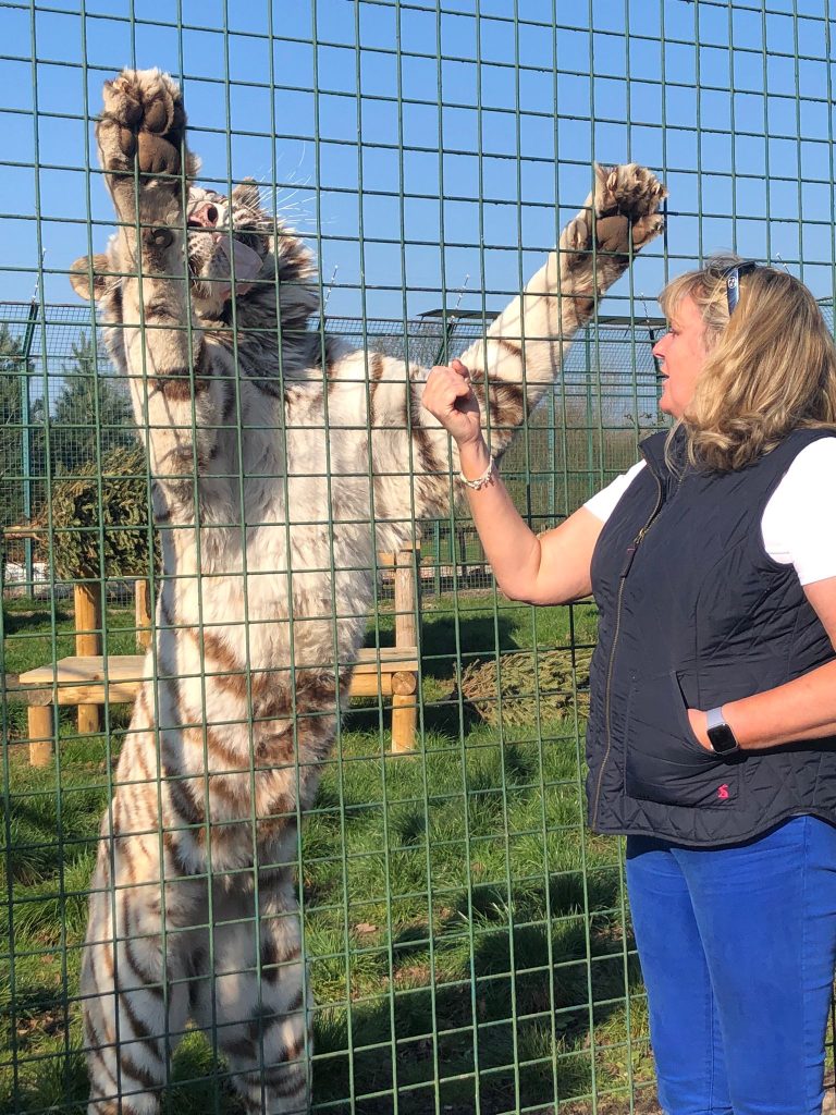 c48e4284 e928 407b a407 aa92dcacaeef 768x1024